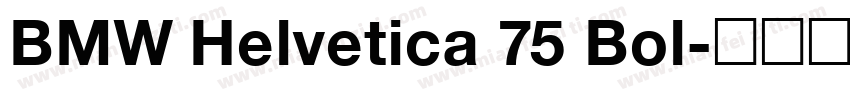 BMW Helvetica 75 Bol字体转换